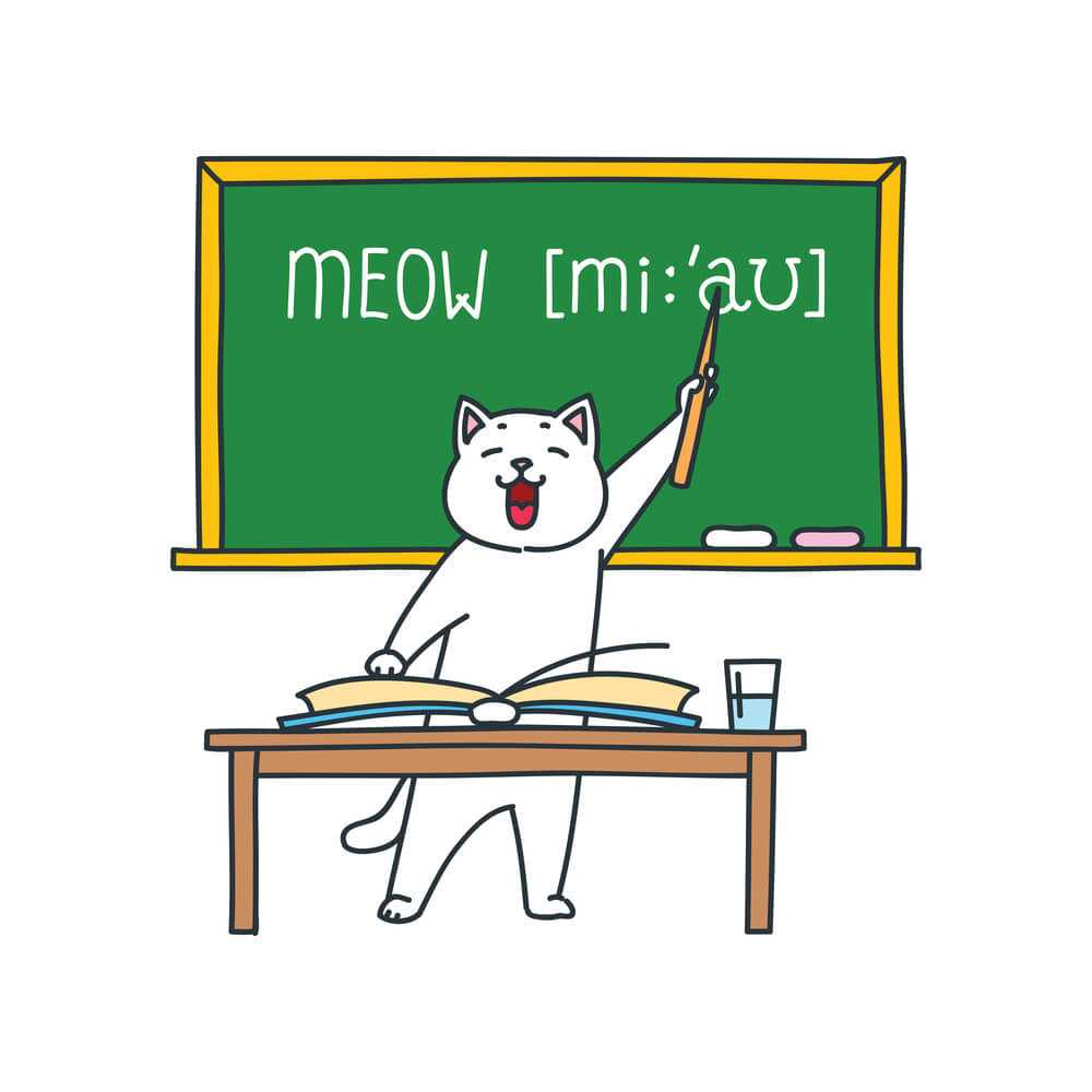 חתולים