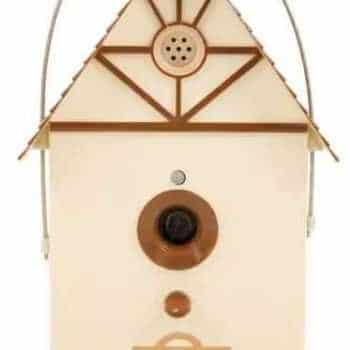 פטסייף מתקן נגד נביחות