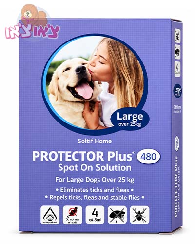 פרוטקטור אמפולות נגד פרעושים לכלב מעל 25 ק"ג PROTECTOR